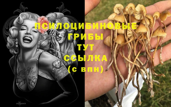 героин Богородицк