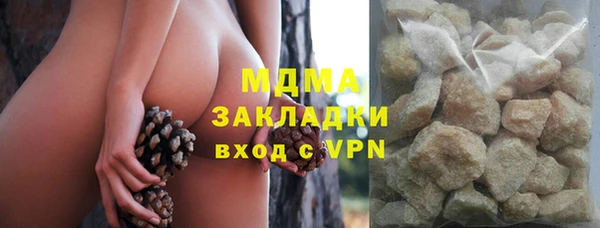 индика Богородск