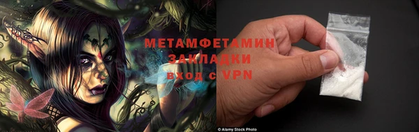 индика Богородск