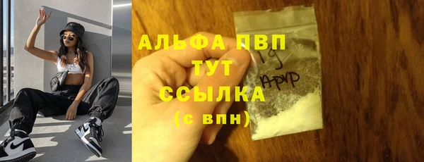 индика Богородск