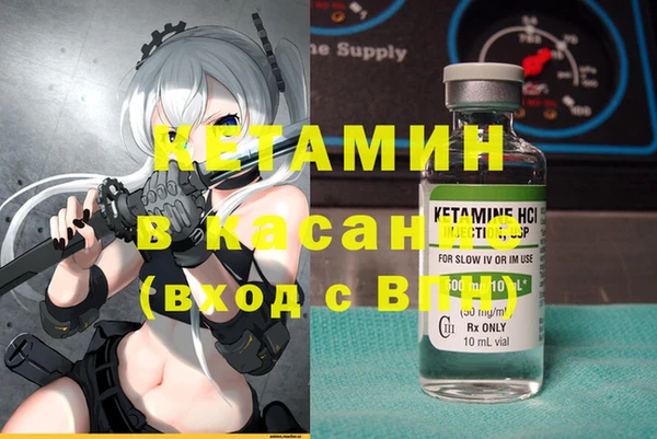 индика Богородск