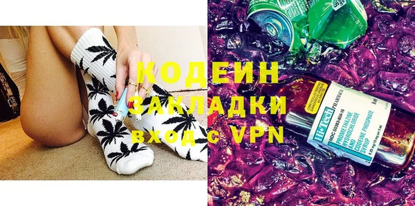 индика Богородск