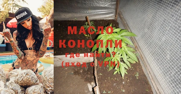 индика Богородск