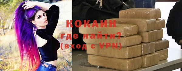 индика Богородск